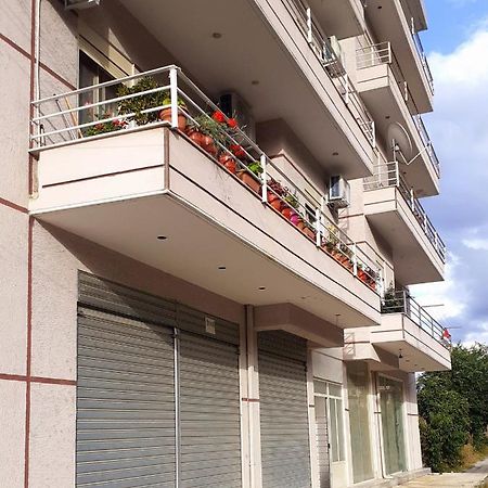 Drini Apartments Permet Exterior photo